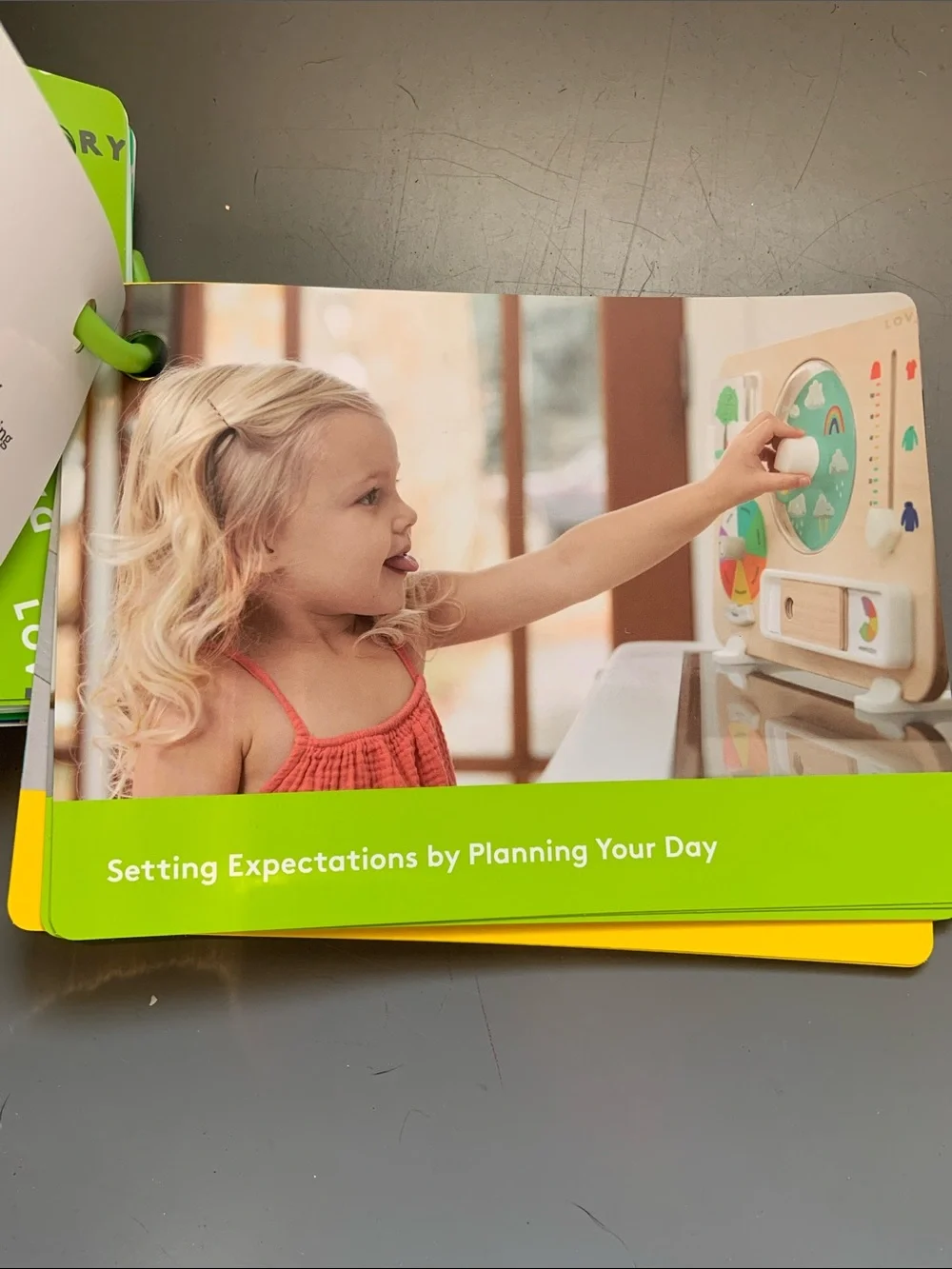 Lovevery Teal Observer Play Guide — Development Cards for Toddlers